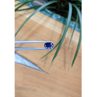 2.70 Ct. Blue Sapphire from Thailand Life Style
