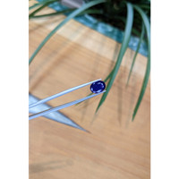 2.91 Ct. Blue Sapphire from Thailand Life Style