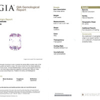 Jewelry Scan Report
