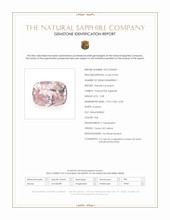 Jewelry Scan Report