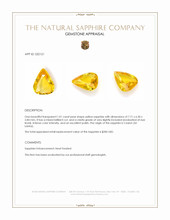 1.01 Ct. Yellow Sapphire from Ceylon (Sri Lanka) Appraisal