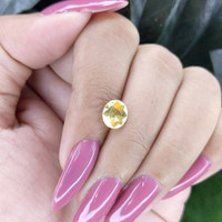 1.87 Ct. Yellow Sapphire from Ceylon (Sri Lanka) Life Style