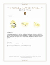 0.51 Ct. Yellow Sapphire from Ceylon (Sri Lanka) Appraisal