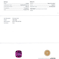 3.02 Ct. Purplish Pink Sapphire from Ceylon (Sri Lanka) Scan Report