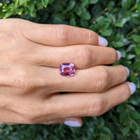 4.03 Ct. Pink Sapphire from Ceylon (Sri Lanka) Life Style