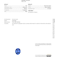 3.63 Ct. Blue Sapphire from Ceylon (Sri Lanka) Scan Report
