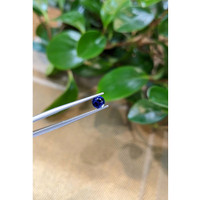 0.68 Ct. Blue Sapphire from Ceylon (Sri Lanka) Life Style