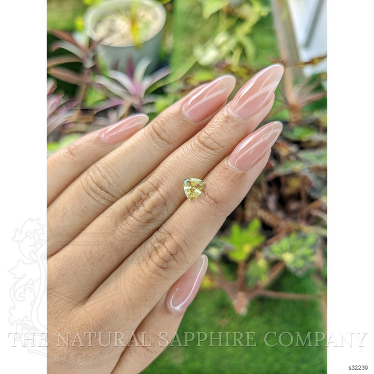 1.08 Ct. Yellow Sapphire from Ceylon (Sri Lanka)
