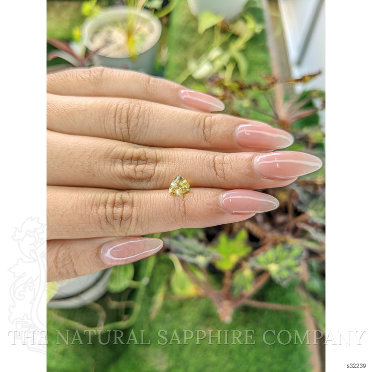 1.08 Ct. Yellow Sapphire from Ceylon (Sri Lanka)