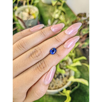 1.79 Ct. Blue Sapphire from Ceylon (Sri Lanka) Life Style