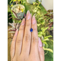 1.79 Ct. Blue Sapphire from Ceylon (Sri Lanka) Life Style