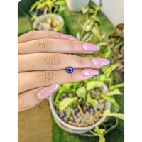1.68 Ct. Blue Sapphire from Ceylon (Sri Lanka) Life Style