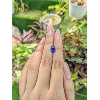 2.30 Ct. Blue Sapphire from Ceylon (Sri Lanka) Life Style