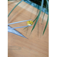 8.08 Ct. Yellow Sapphire from Ceylon (Sri Lanka) Life Style