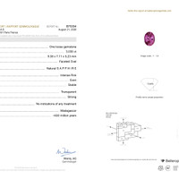 3.03 Ct. Pink Sapphire from Madagascar Pdf