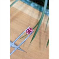 3.03 Ct. Pink Sapphire from Ceylon (Sri Lanka) Life Style