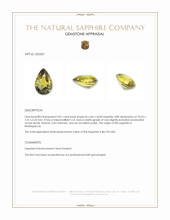 Jewelry Appraisal
