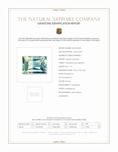 Jewelry Scan Report