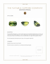 1.17 Ct. Bi Color Sapphire from Africa Appraisal