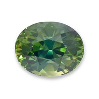 4.05 Ct. Yellowish Green Sapphire from Madagascar Video
