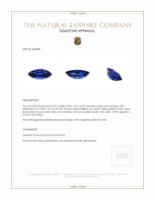 6.95 Ct. Blue Sapphire from Ceylon (Sri Lanka) Appraisal