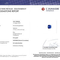 12.11 Ct. Blue Sapphire from Ceylon (Sri Lanka) Scan Report