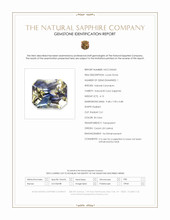 Jewelry Scan Report