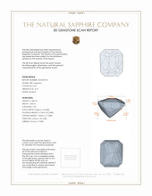 Jewelry 3 D Scan Report