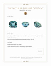 1.14 Ct. Greenish Blue Sapphire from Madagascar Appraisal