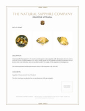 Jewelry Appraisal