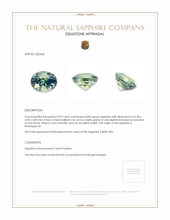0.99 Ct. Bluish Green Sapphire from Madagascar Appraisal