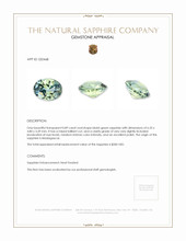 0.89 Ct. Bluish Green Sapphire from Madagascar Appraisal