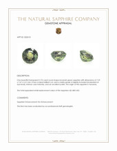 2.70 Ct. Brownish Green Sapphire from Tanzania Appraisal