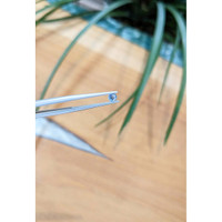 0.22 Ct. Blue Sapphire from Madagascar Life Style