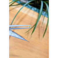 0.23 Ct. Yellow Sapphire from Madagascar Life Style