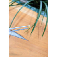 0.21 Ct. Yellow Sapphire from Madagascar Life Style