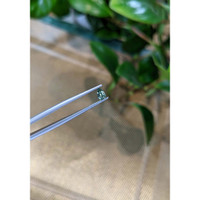 0.35 Ct. Bluish Green Sapphire from Madagascar Life Style