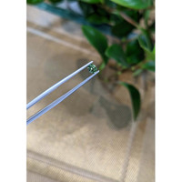 0.46 Ct. Bluish Green Sapphire from Madagascar Life Style