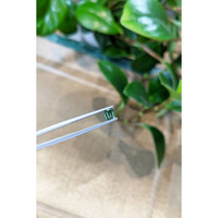 0.47 Ct. Bluish Green Sapphire from Madagascar Life Style