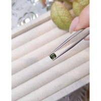 0.53 Ct. Yellowish Green Sapphire from Madagascar Life Style