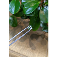 1.68 Ct. Yellowish Green Sapphire from Madagascar Life Style