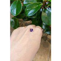 1.60 Ct. Purple Sapphire from Ceylon (Sri Lanka) Life Style