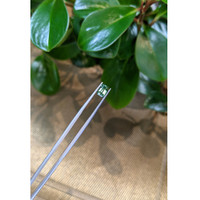 1.57 Ct. Bluish Green Sapphire from Madagascar Life Style