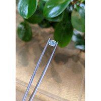 1.12 Ct. Bi Color Sapphire from Madagascar Life Style