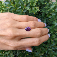 4.23 Ct. Purple Sapphire from Ceylon (Sri Lanka) Life Style