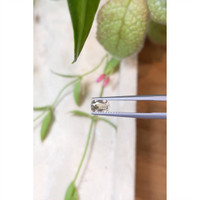 0.83 Ct. Peach Sapphire from Madagascar Life Style