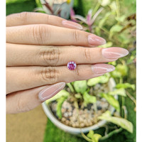 1.33 Ct. Purplish Pink Sapphire from Madagascar Life Style
