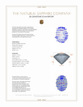 Jewelry 3 D Scan Report