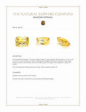 1.20 Ct. Bi Color Sapphire from Ceylon (Sri Lanka) Appraisal