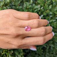 2.26 Ct. Pink Sapphire from Ceylon (Sri Lanka) Life Style